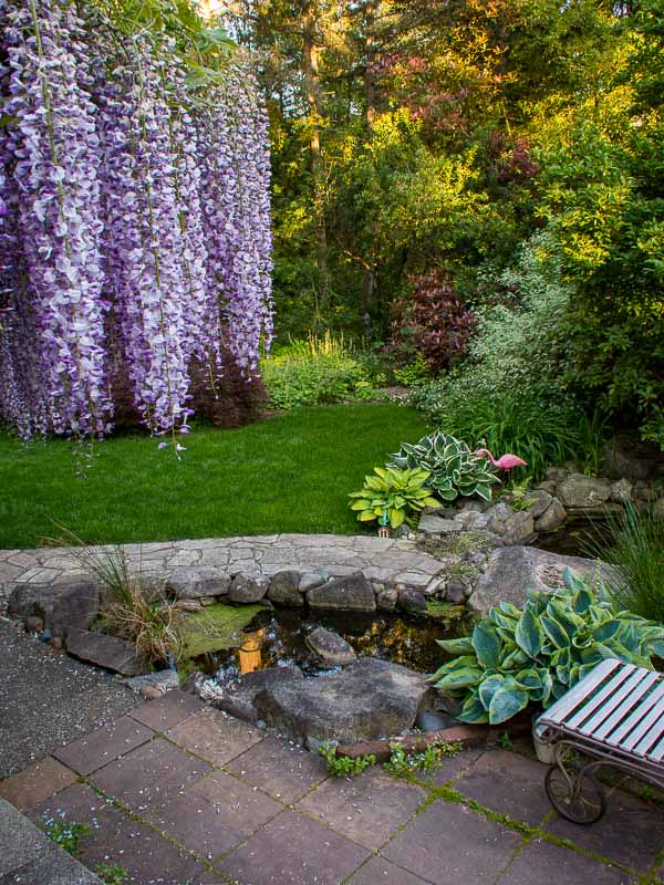Water Feature Experts Hunts Point